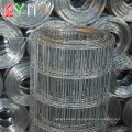 Galvanized PVC Coated Welded Wire Mesh